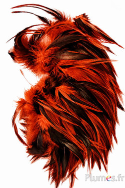 Hahnenkreuz Badger - 10-15 cm - blutorange